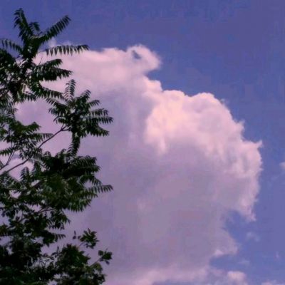 ku体育app官网版下载